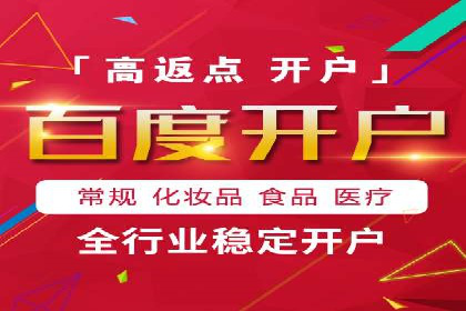 百度SEO推广公司案例精选：助力企业快速崛起